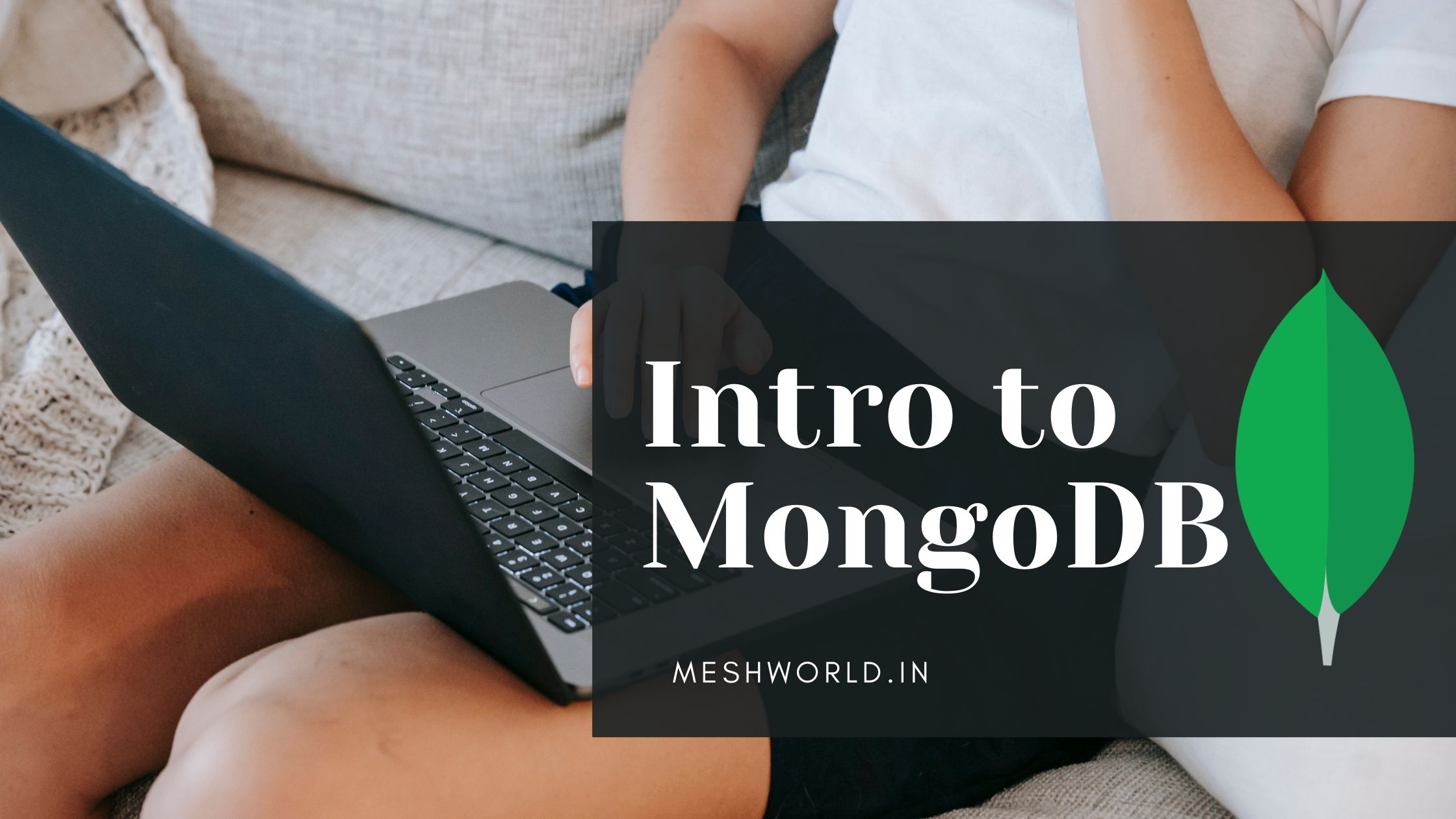 Introduction To Mongodb Meshworld 7798