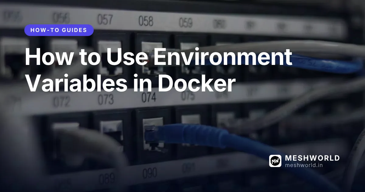 How to Use Environment Variables in Docker