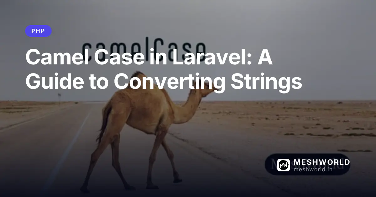 Camel Case in Laravel: A Guide to Converting Strings