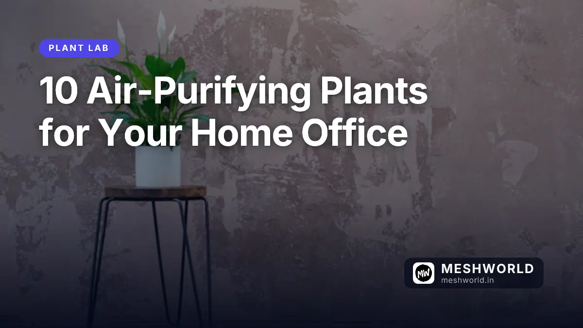 10 Air-Purifying Plants for Your Home Office