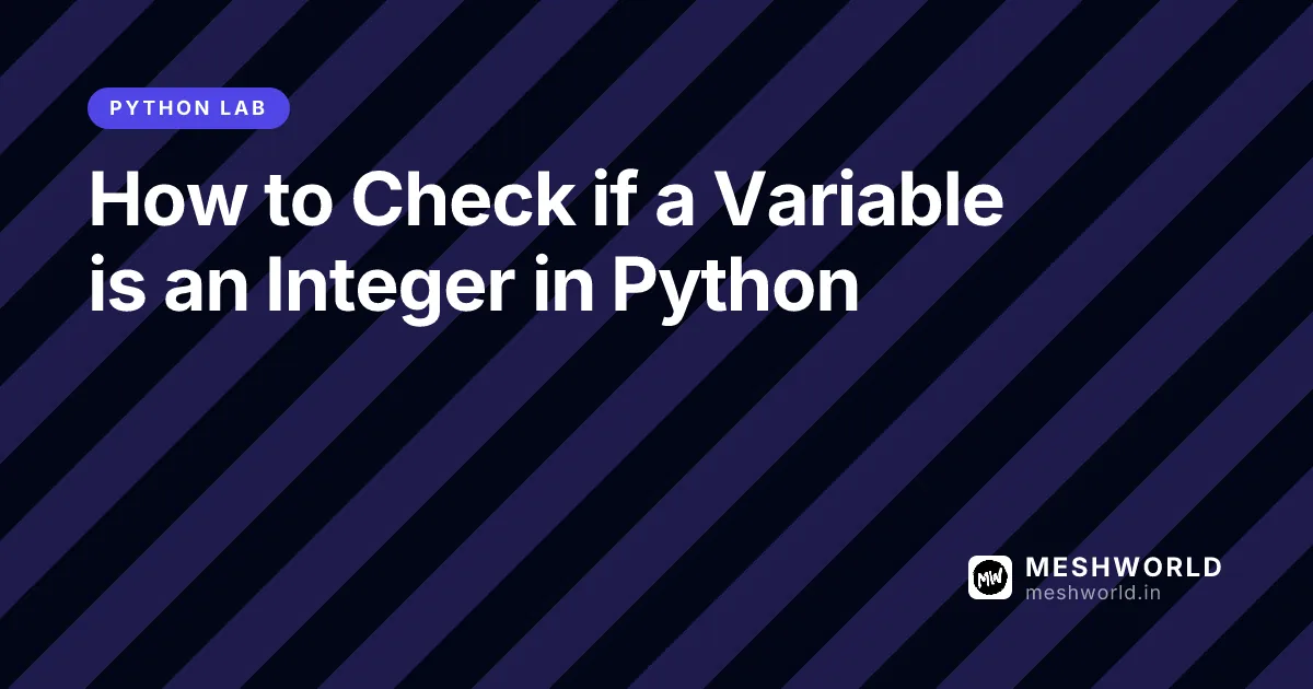 How to Check if a Variable is an Integer in Python